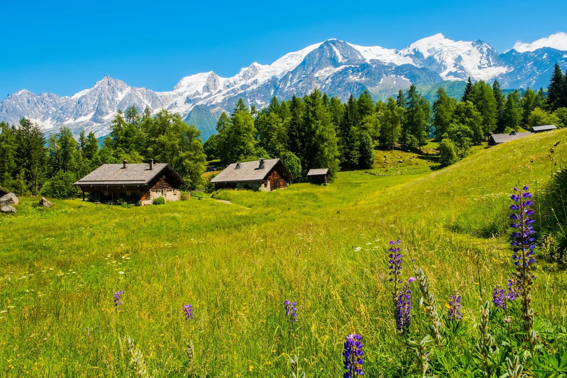 View of Mont Blanc from Charousse Les Houches with wooden chalets in a sunny meadow.