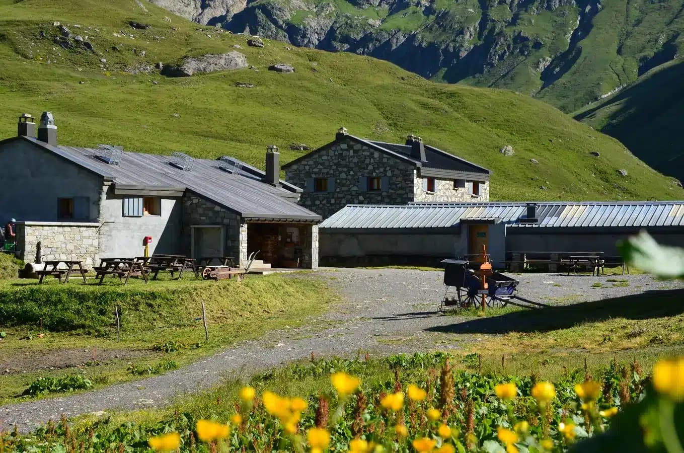 Stone refuge buildings in green alpine valley with yellow wildflowers in foreground