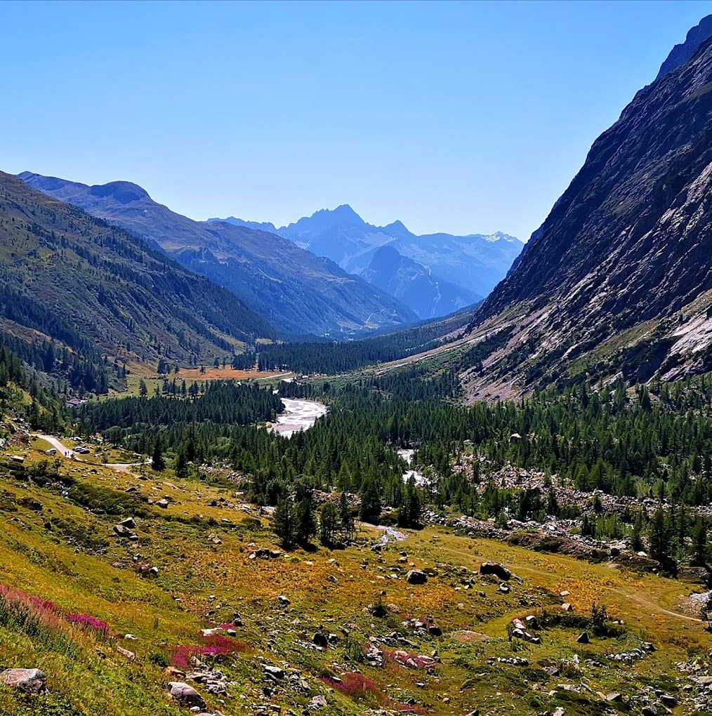 Alpine valley with forested slopes, winding river, and distant blue mountains under a clear sky.