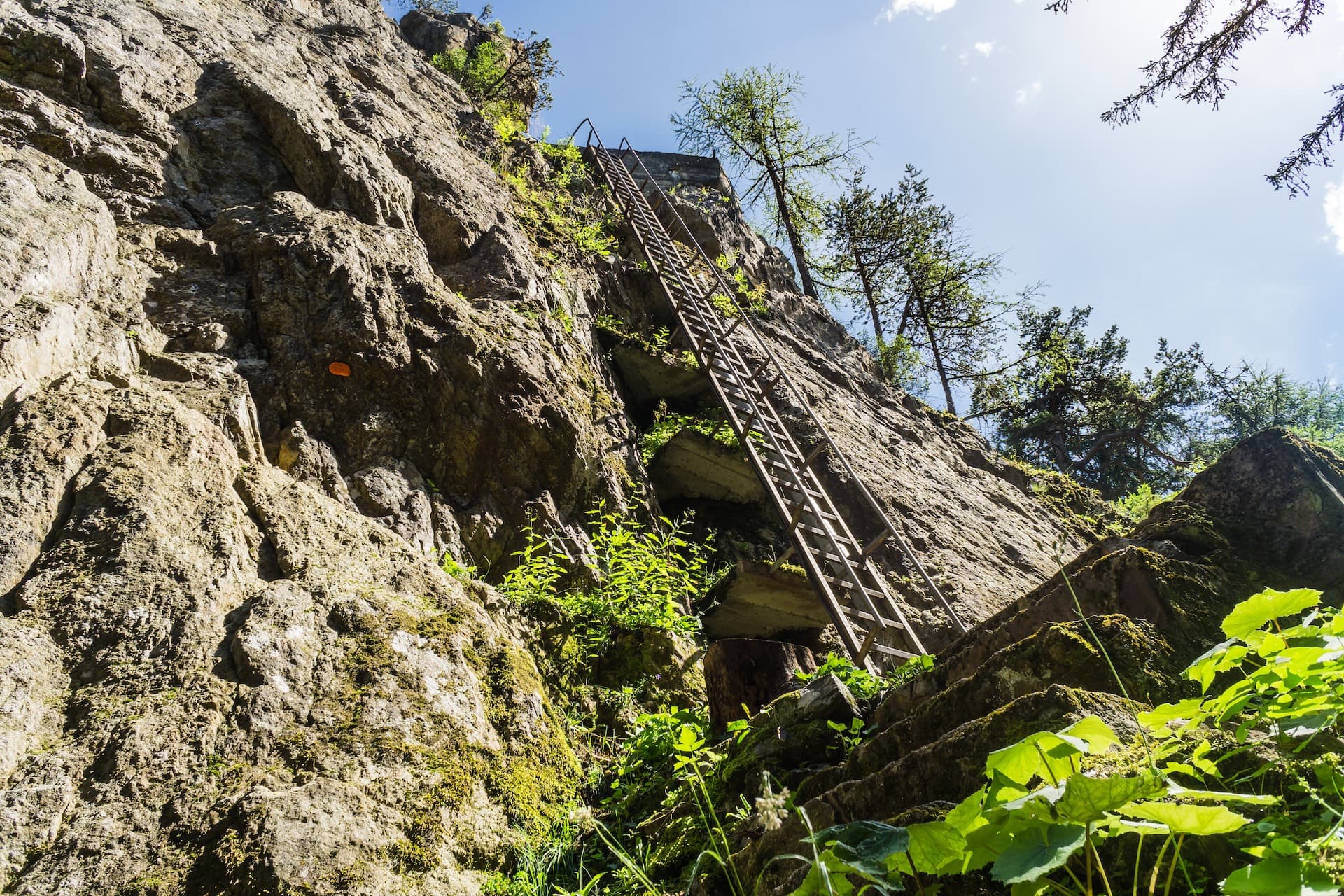 Metal ladder ascending steep, moss-covered rock face with green foliage under blue sky.