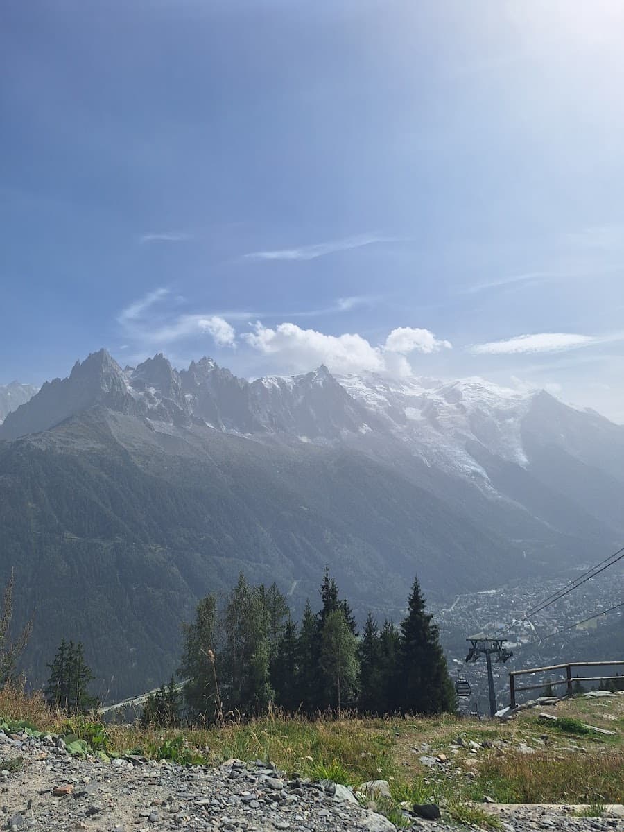 Snow-capped mountain peaks with pine forest and valley below