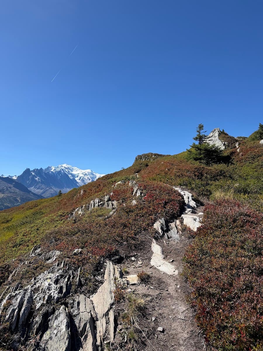 Hiking trail through alpine landscape with snow-capped mountain peaks and clear blue sky