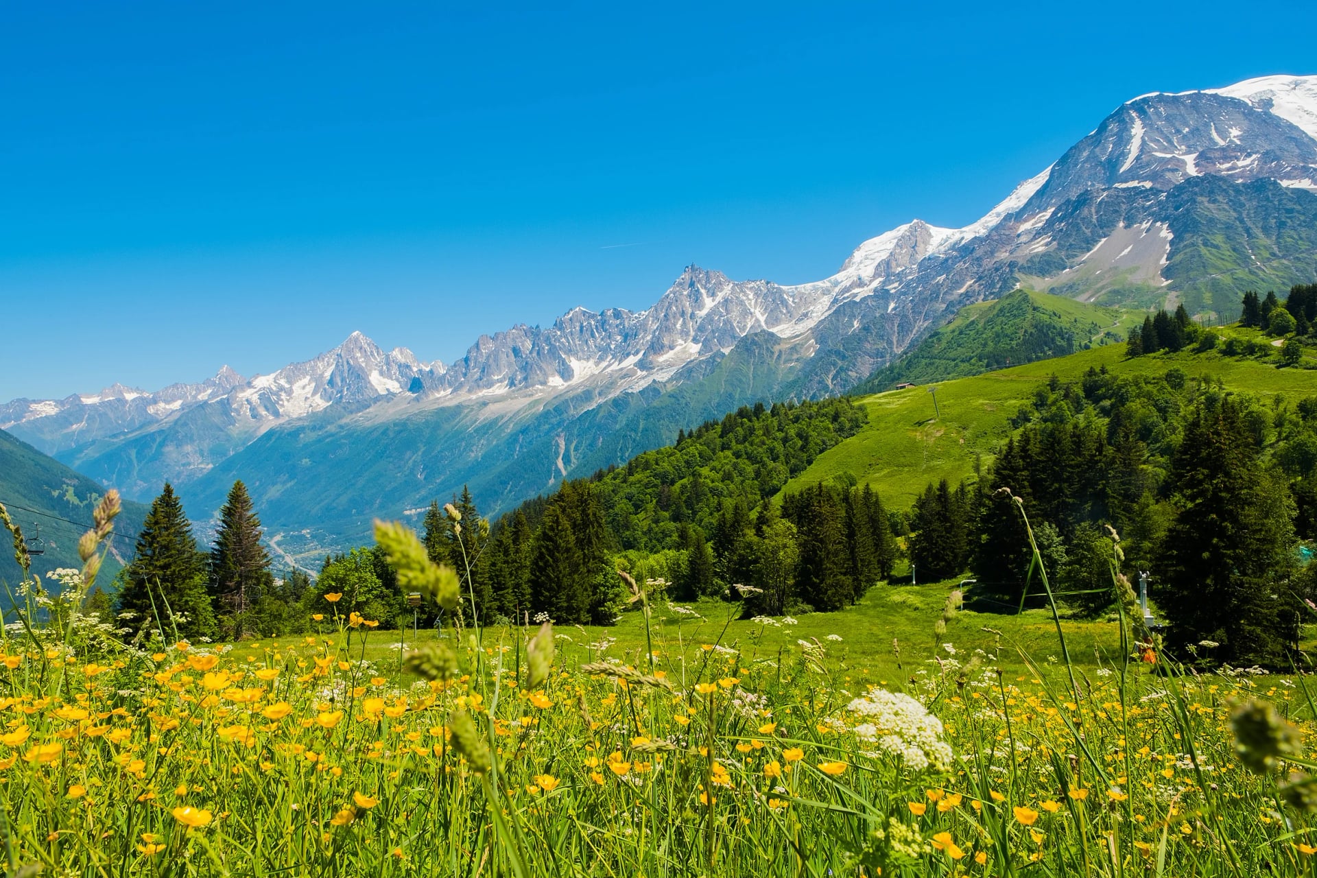 Mont Blanc