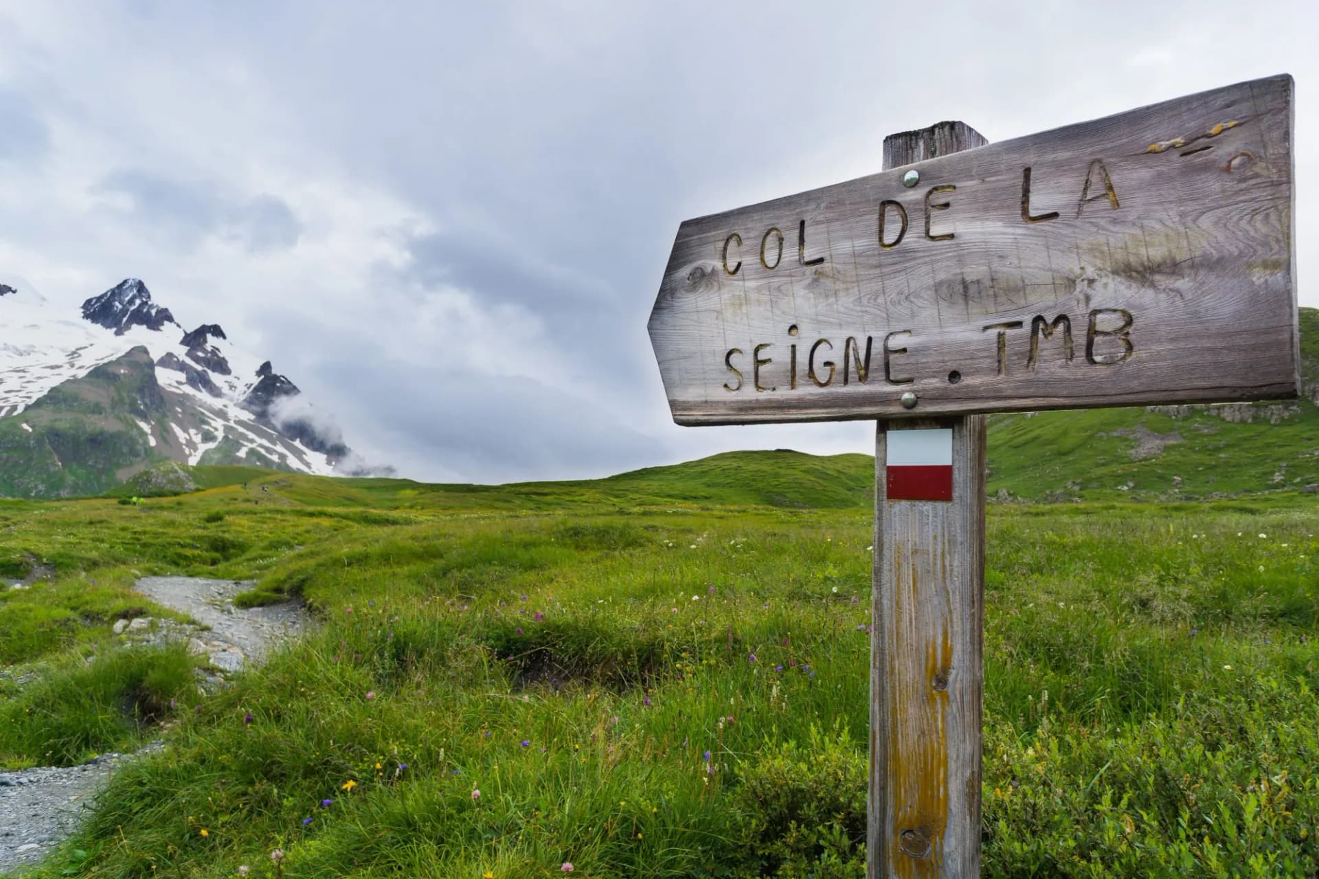 Wooden trail sign pointing to Col de la Seigne TMB over green alpine meadow with snowy peaks.