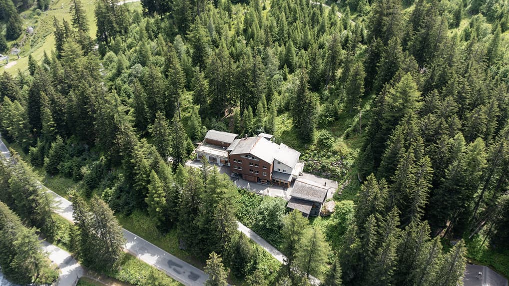 Lodge nestled among dense pine forest with a paved road winding nearby, aerial view