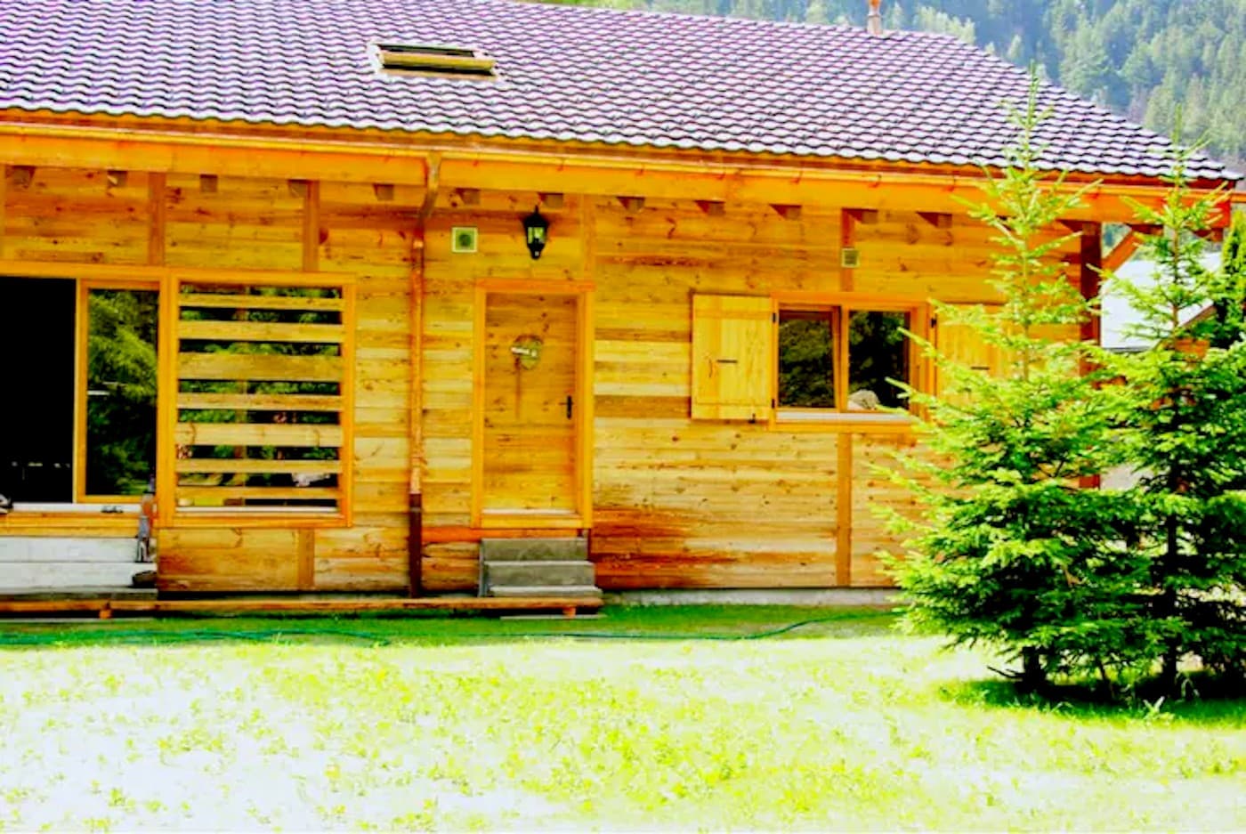 Wooden chalet with bright wood siding, green lawn, and pine trees in a mountain setting.