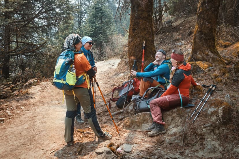 Group happy hiker friends with backpacks together resting talking in mountain forest. Trekking travel in adventure lifestyle, nature hiking in vacation holiday. Tourism and friendship concept.