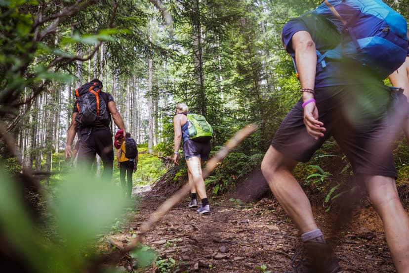 sporty group of people from behind while hiking through the forest surrounded by many green leaves