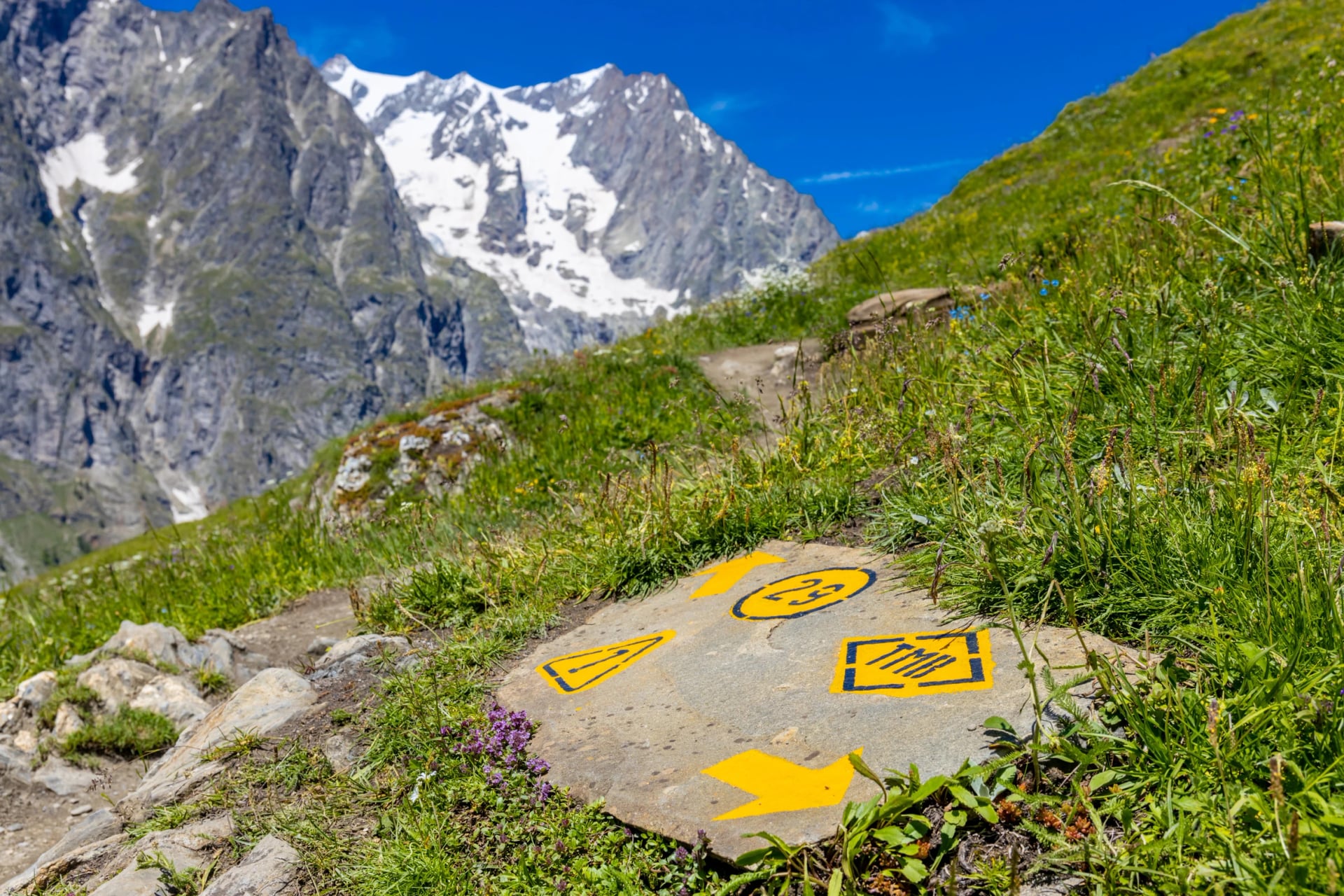 Flèche et panneau indicateur du TMB sur le sentier de randonnée dans les Alpes. Trekking autour du Montblanc en été, magnifique paysage des prairies alpines vertes et des hautes montagnes couvertes de neige