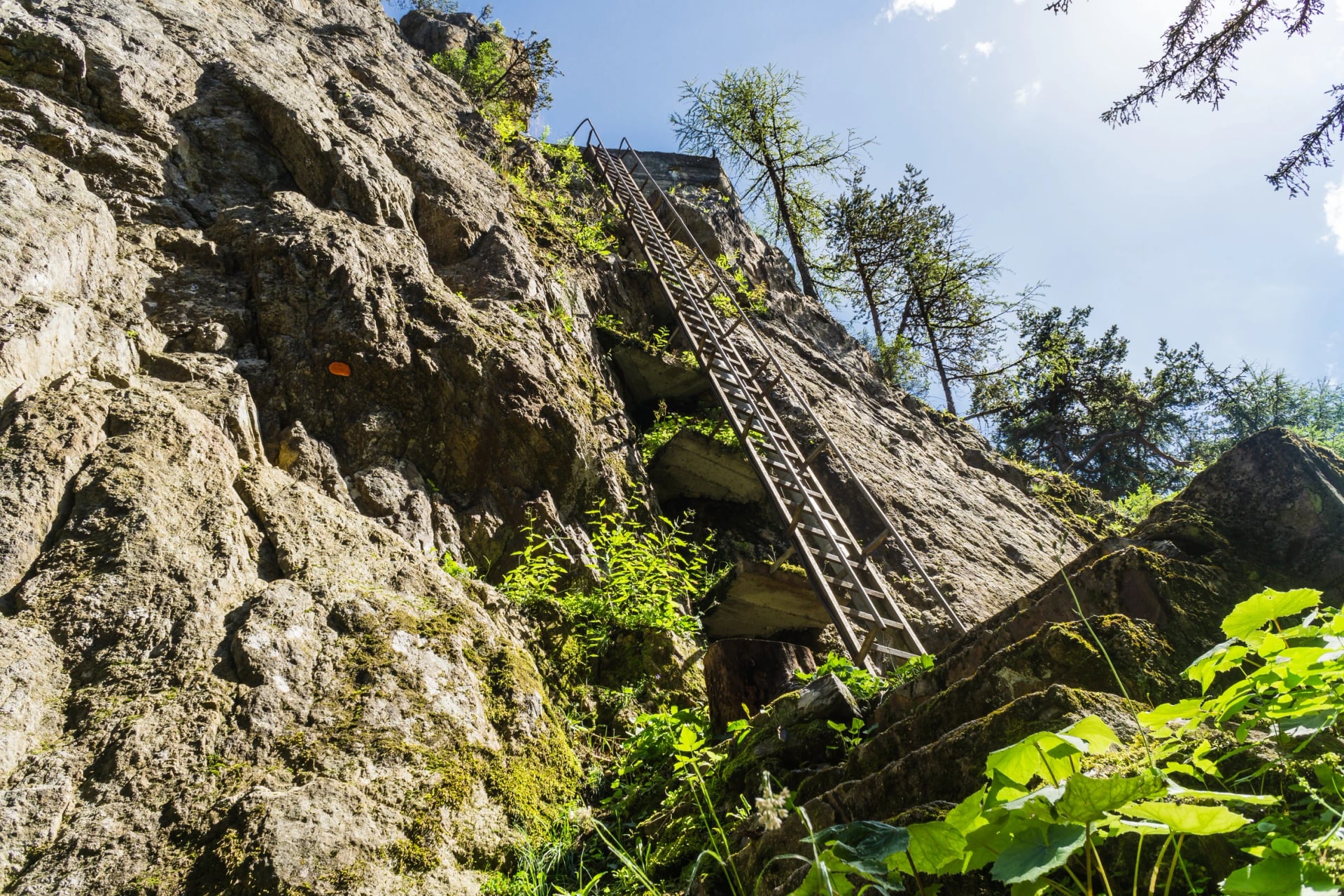 Itinéraire d'escalade sur une falaise en Suisse avec une vieille échelle en métal boulonnée à la pierre