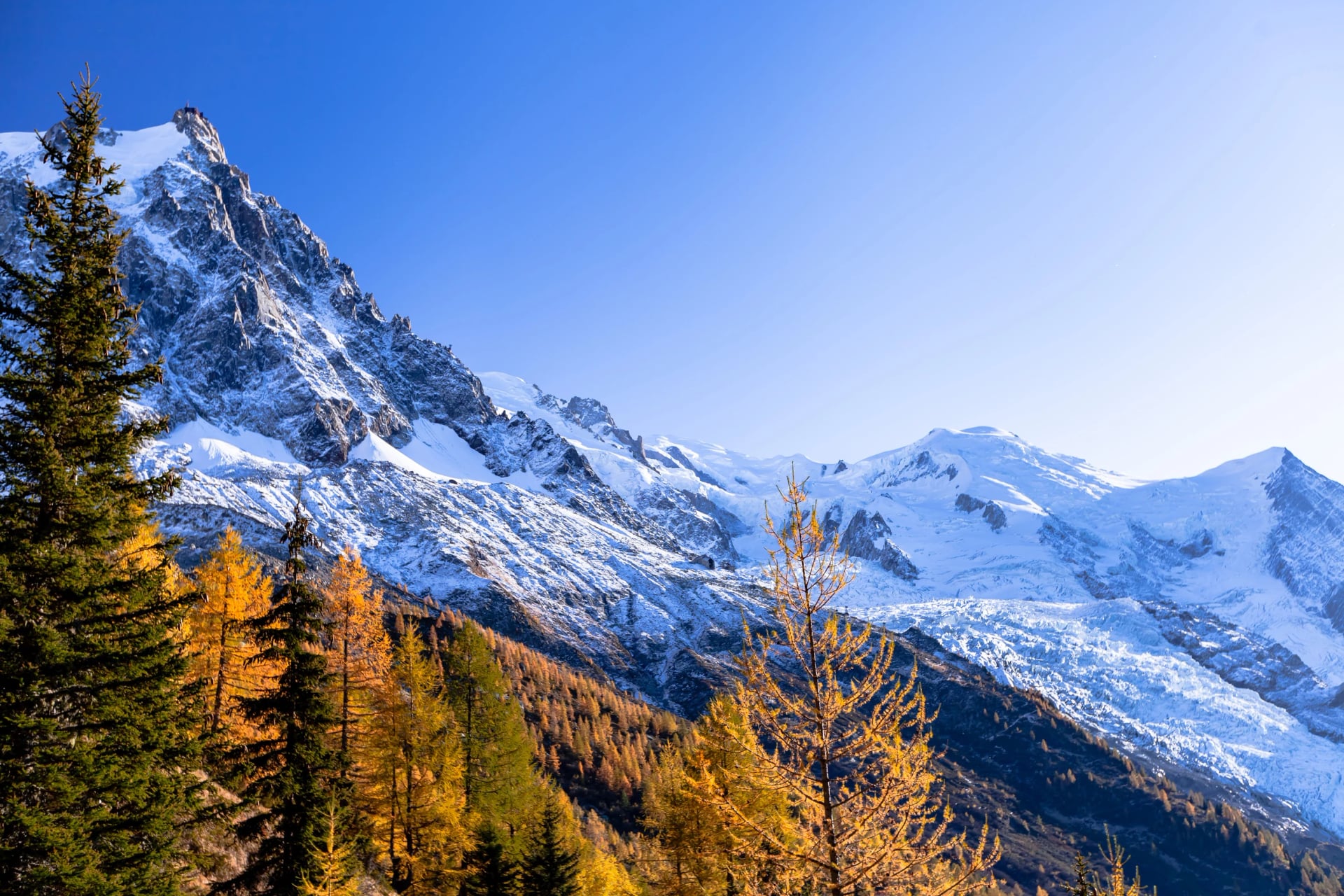 En gletsjer, der flyder ned ad et bjerg. Planter og træer i forgrunden og mere takkede klippeformationer i baggrunden. Mont Blanc-bjergkæden, Chamonix-Mont-Blanc, Frankrig, 2021.