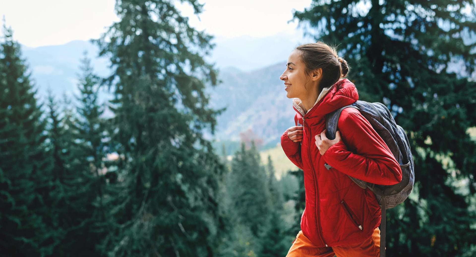 woman hiker with small backpack wearing in red jacket and orange pants walks by trail through pine woods in the Carpathians mountains, Western Ukraine.