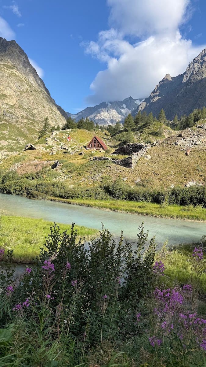 Alpine mountain valley with river, rustic cabin, and purple wildflowers