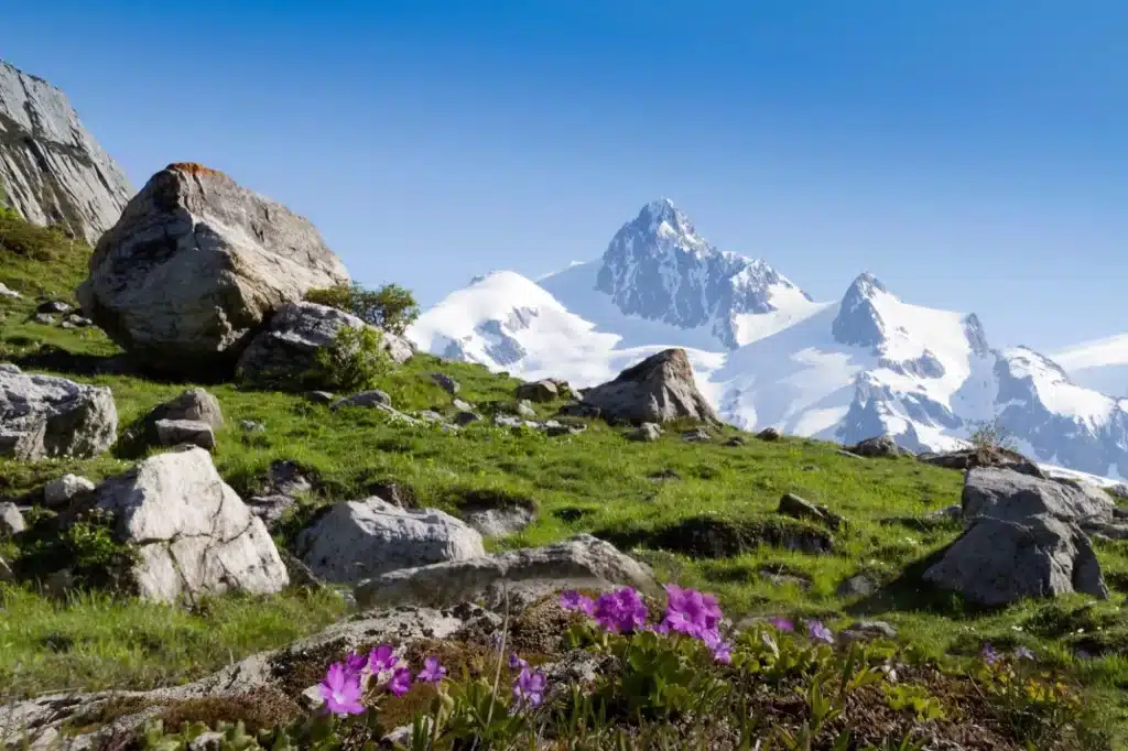 les chapieux aiguilles des glaciers stockpack adobe stock