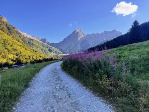 в убежище мотыльков